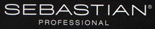 Sebastian Professional